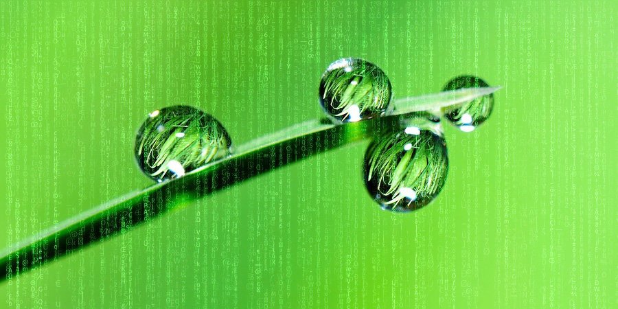 Drops, leaves, green, IoT, data, agritech