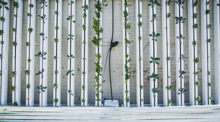 Vertical farm