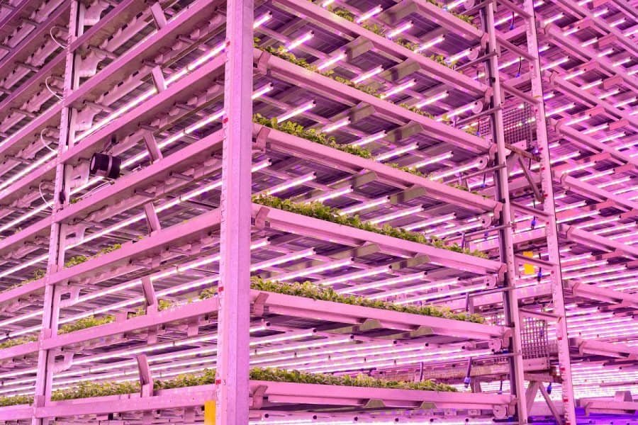 Vertical Farming