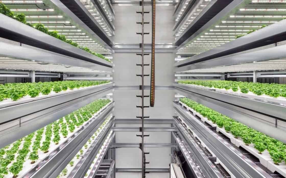 Vertical Farming