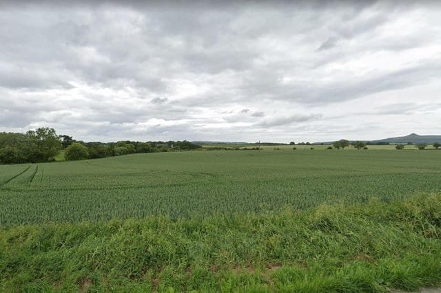 Field