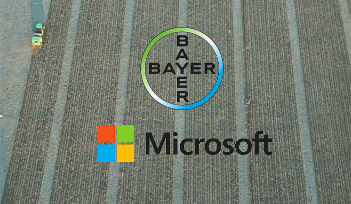 Beyer Microsoft