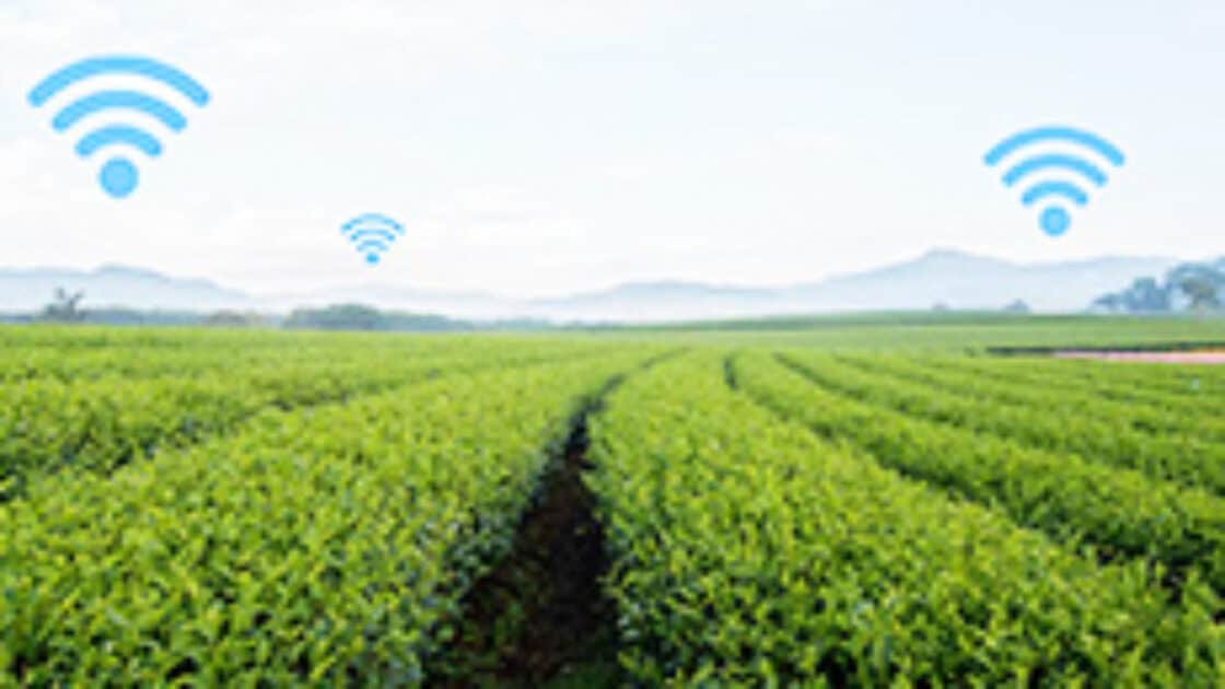 Soil sensors
