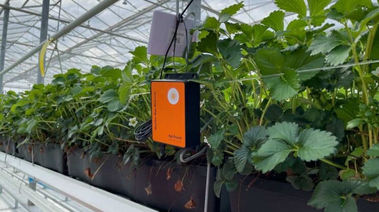 AgriSound secures £75k funding to pilot insect listening tech