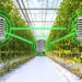 The Amazing Potential of Bluetooth Low Energy in Vertical Farming