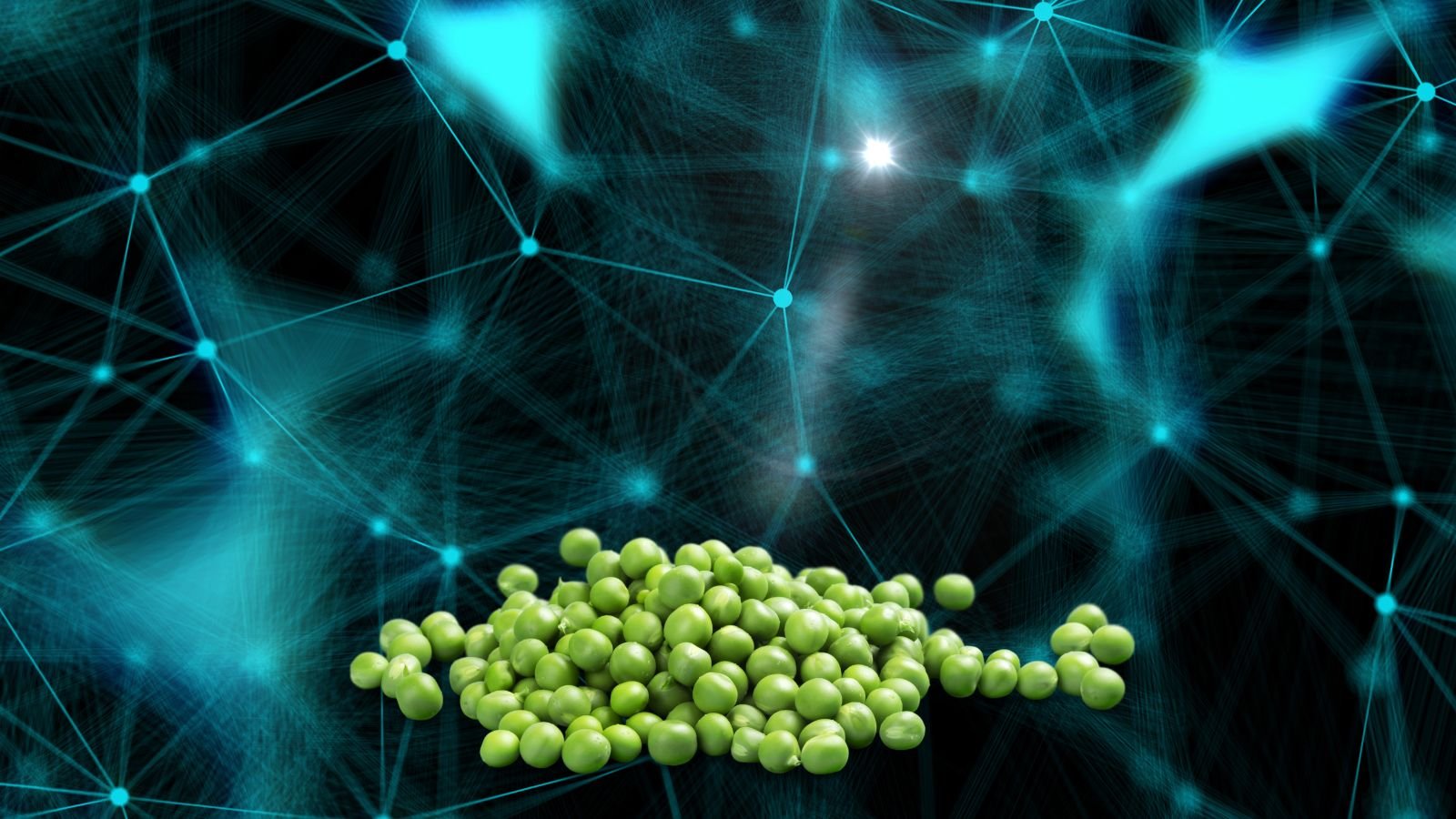 New Forecasting Tool Promises £30m Boost for UK Pea Industry | Agritech ...