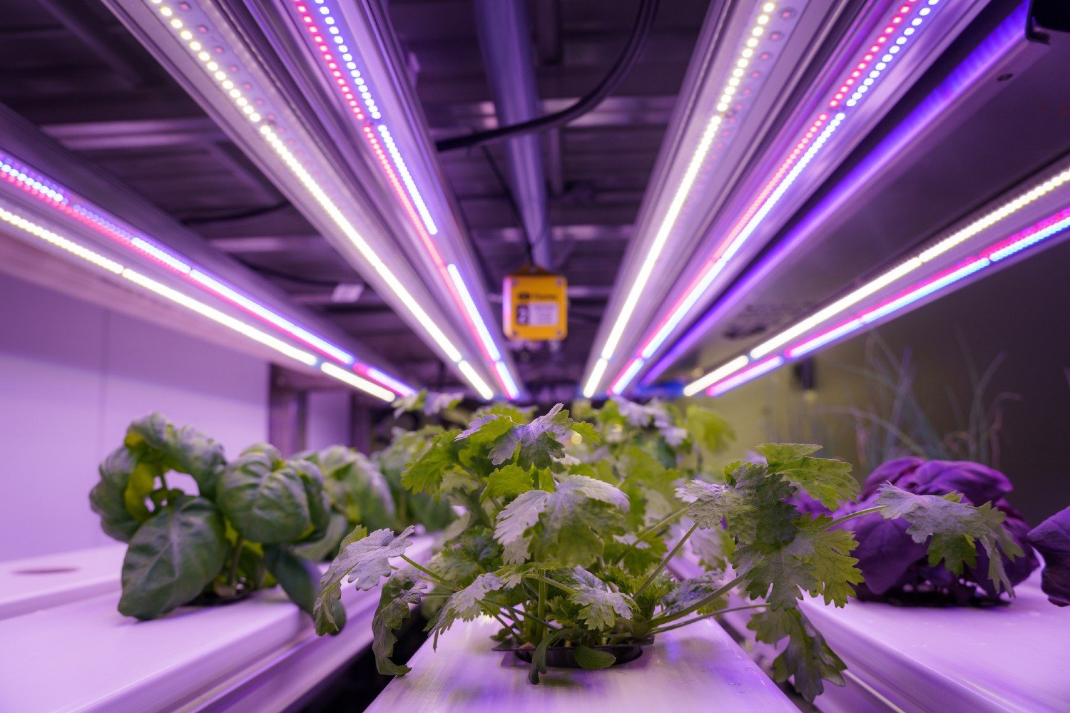 UK Agri Tech Revolutionises Sector With Launch Of Super Centre uk-agri-tech-revolutionises-sector-with-launch-of-super-centre